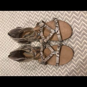 Steve Madden Snakeskin Sandal